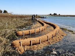 Coir Log